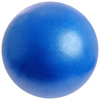 Утяжеленные мячи для йоги FT-YGB-1K-S-DI Alex